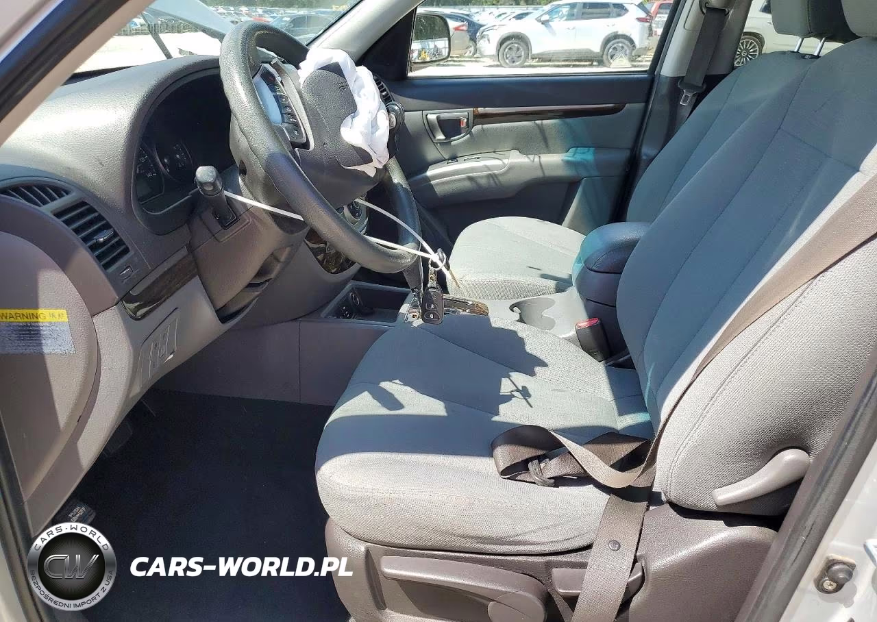2010 Hyundai Santa Fe Gls VIN:5NMSGDAB7AH368284 - 7