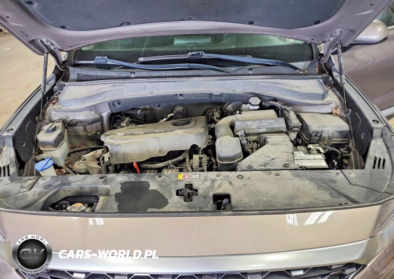 2019 Hyundai Santa Fe Se VIN:5NMS2CAD9KH103376 - 12
