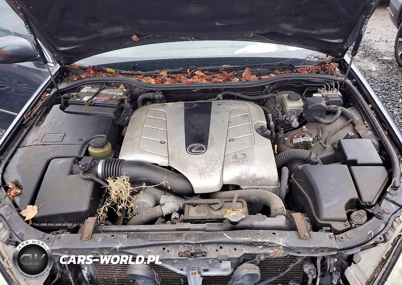 2004 Lexus Ls 430 VIN:JTHBN36F240137260 - 11