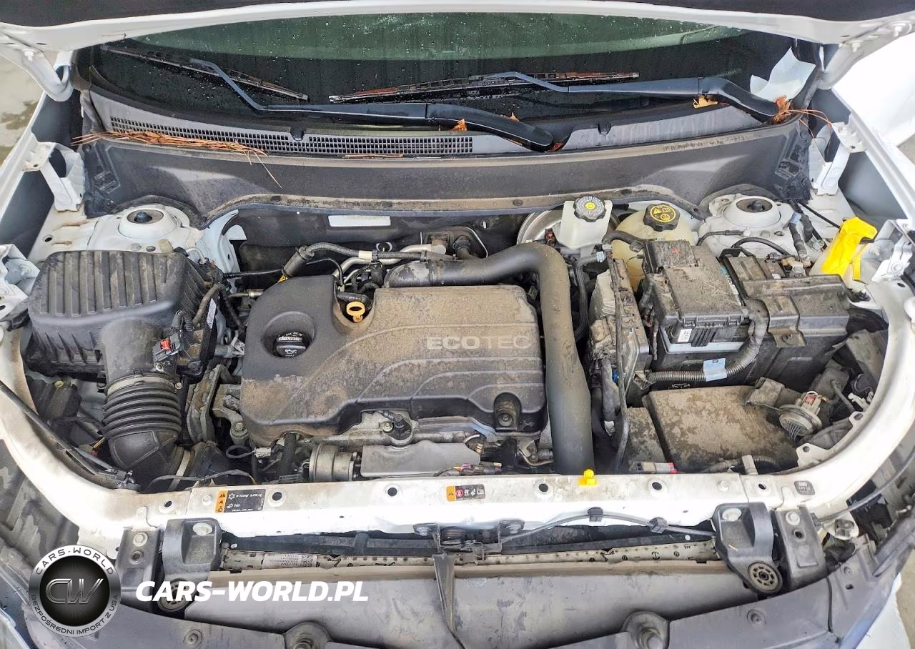 2018 Chevrolet Equinox Lt VIN:2GNAXJEV4J6209591 - 12