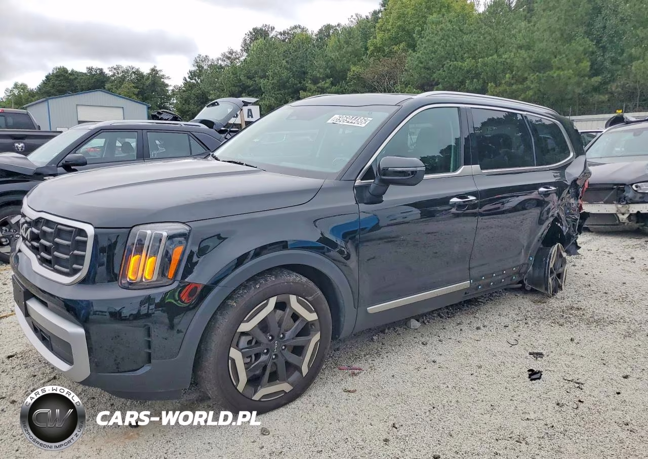 2025 Kia Telluride S VIN:5XYP64GC3SG638325 - 1