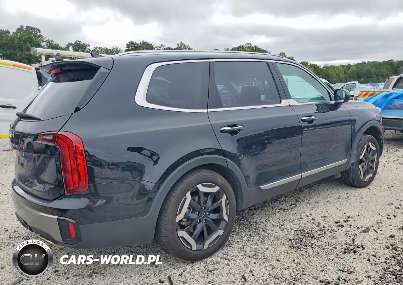 2025 Kia Telluride S VIN:5XYP64GC3SG638325 - 3