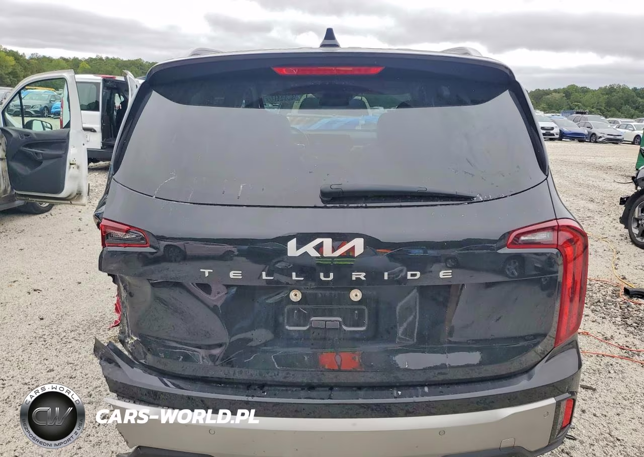 2025 Kia Telluride S VIN:5XYP64GC3SG638325 - 6