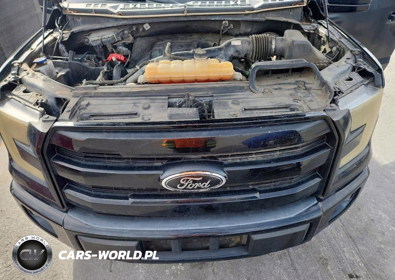 2017 Ford F150 Supercrew VIN:1FTEW1CP5HKC40969 - 11