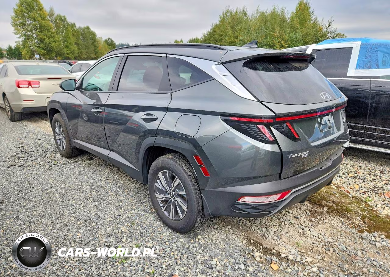 2023 Hyundai Tucson Blue VIN:KM8JBCA13PU111664 - 2