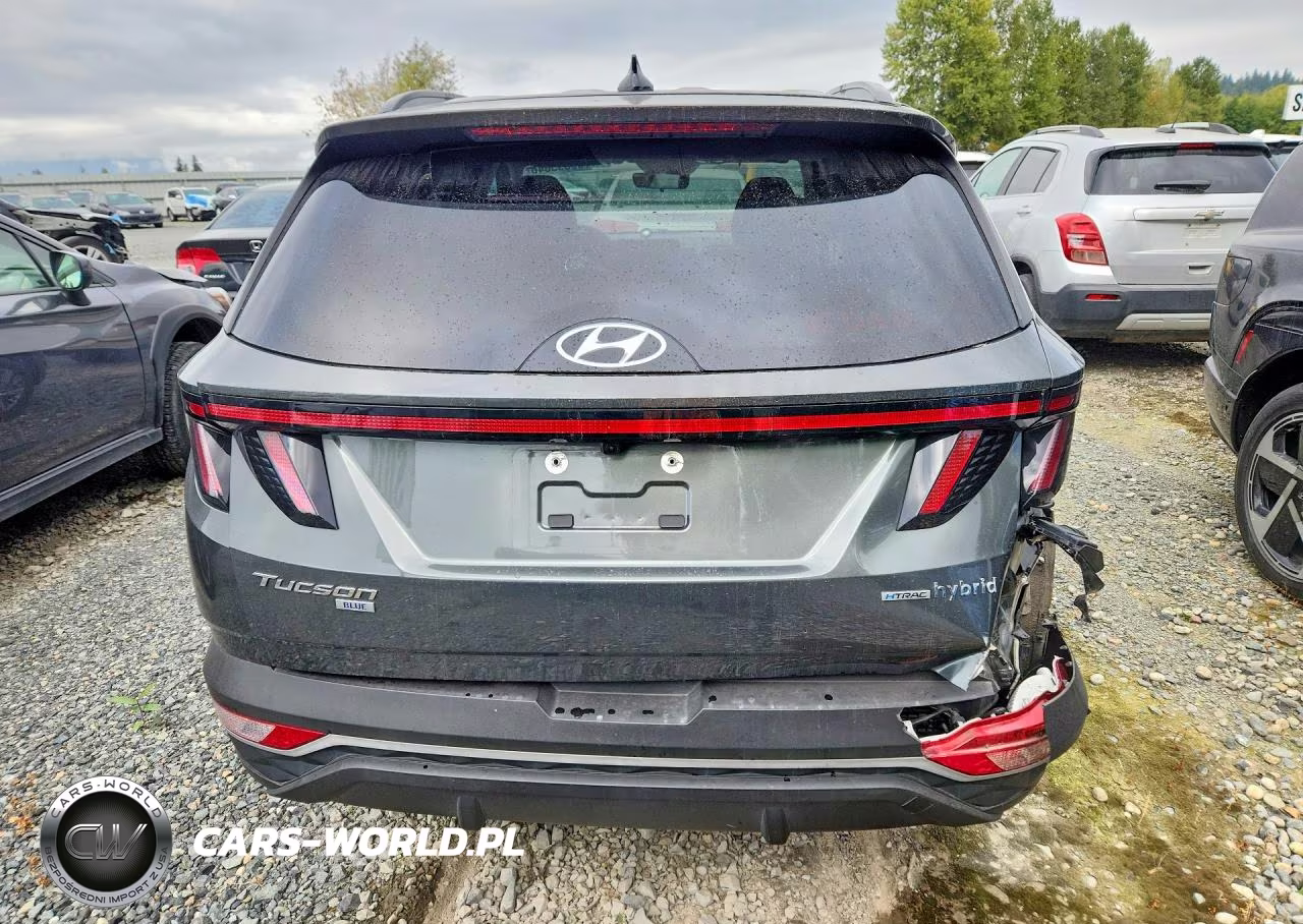 2023 Hyundai Tucson Blue VIN:KM8JBCA13PU111664 - 6