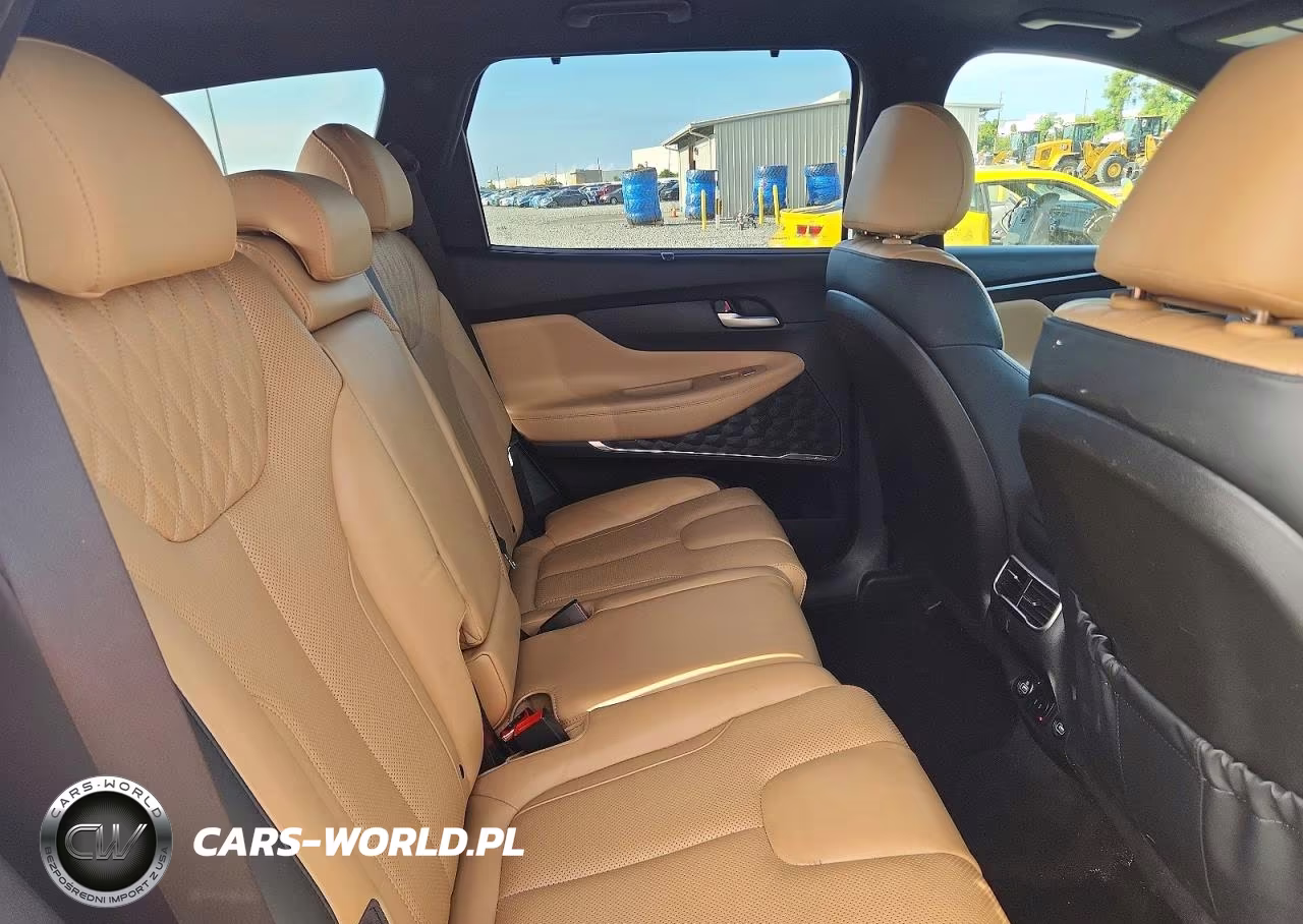 2023 Hyundai Santa Fe Calligraphy VIN:5NMS5DAL3PH558302 - 11