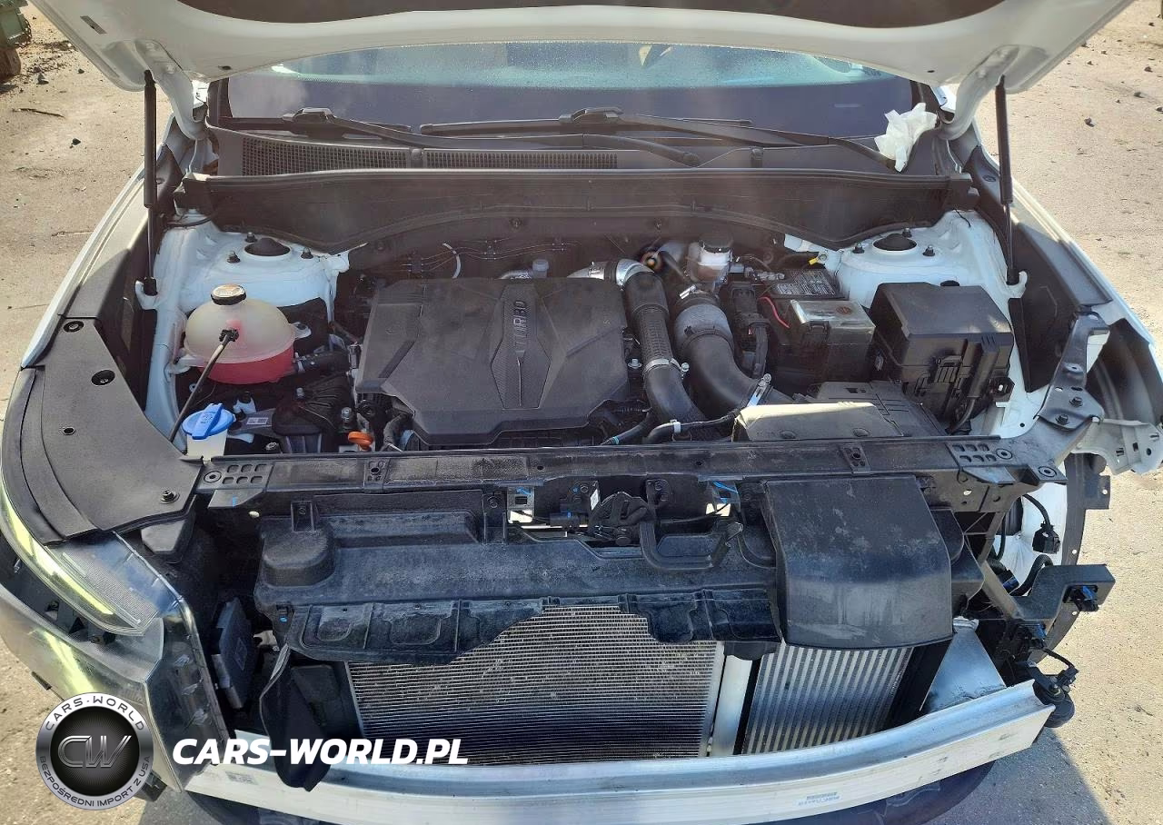 2023 Hyundai Santa Fe Calligraphy VIN:5NMS5DAL3PH558302 - 12