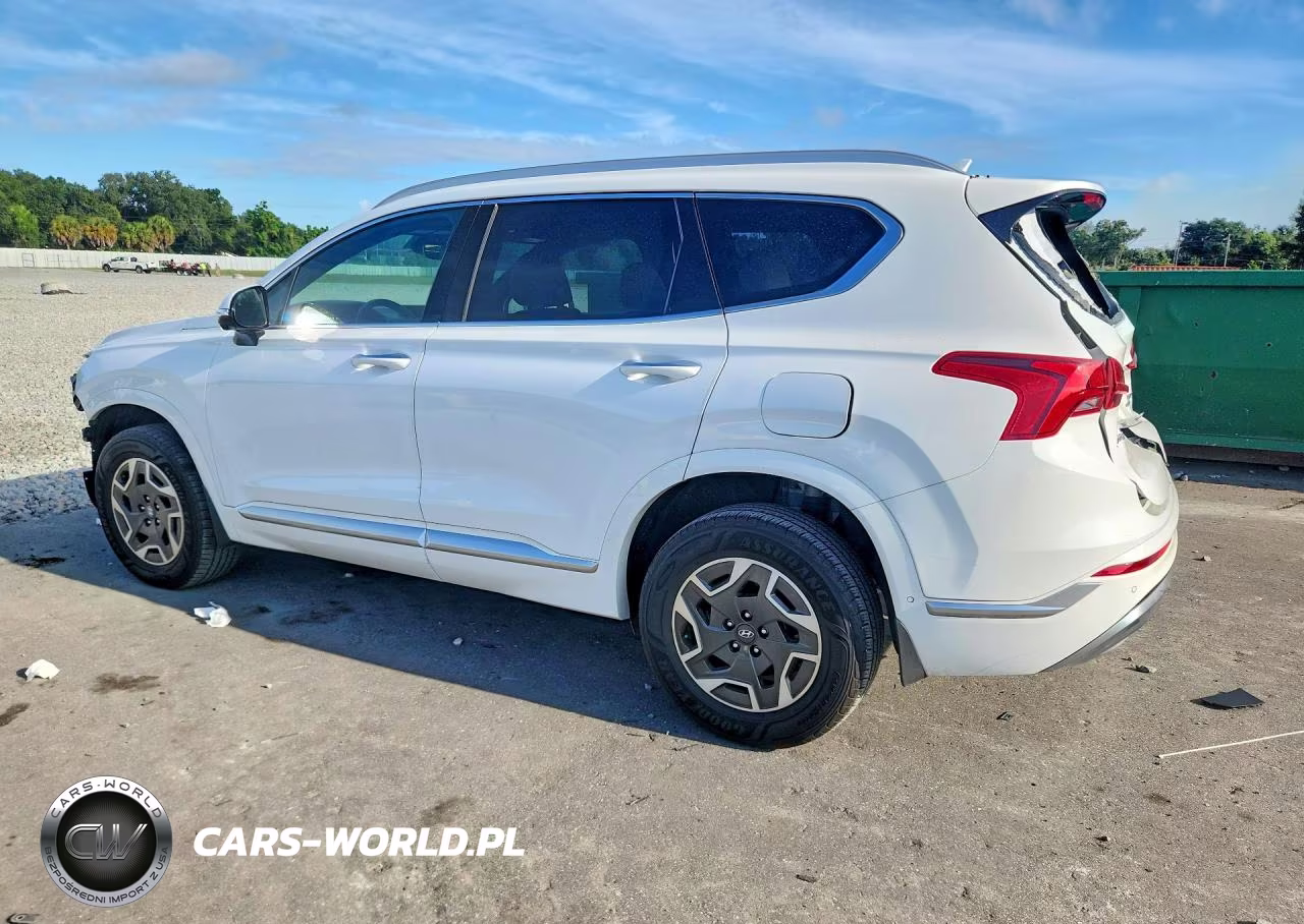2023 Hyundai Santa Fe Calligraphy VIN:5NMS5DAL3PH558302 - 2