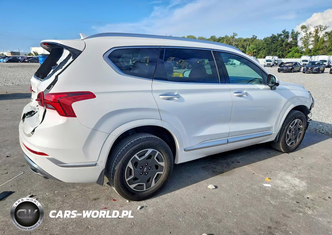 2023 Hyundai Santa Fe Calligraphy VIN:5NMS5DAL3PH558302 - 3
