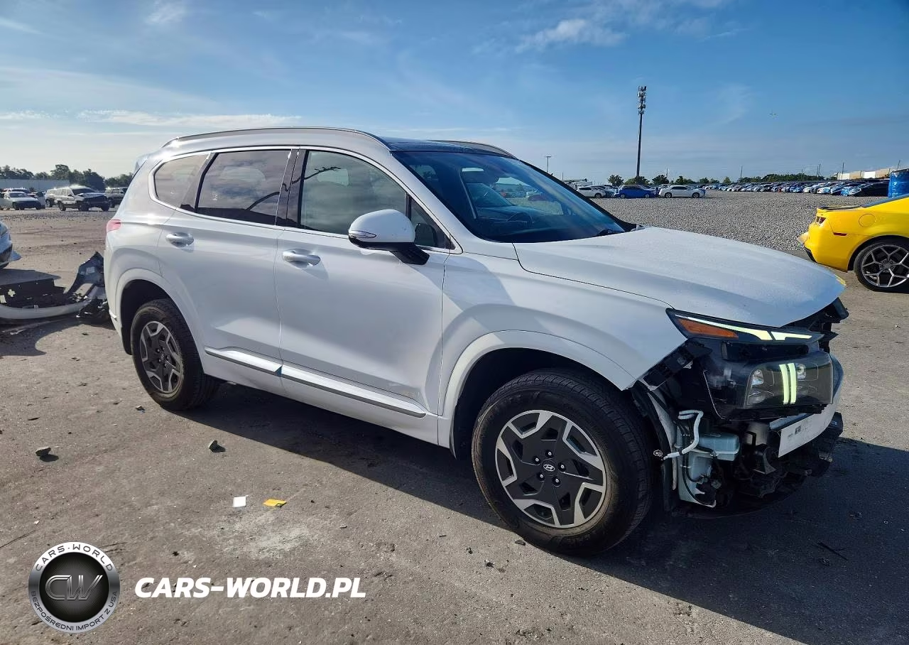 2023 Hyundai Santa Fe Calligraphy VIN:5NMS5DAL3PH558302 - 4