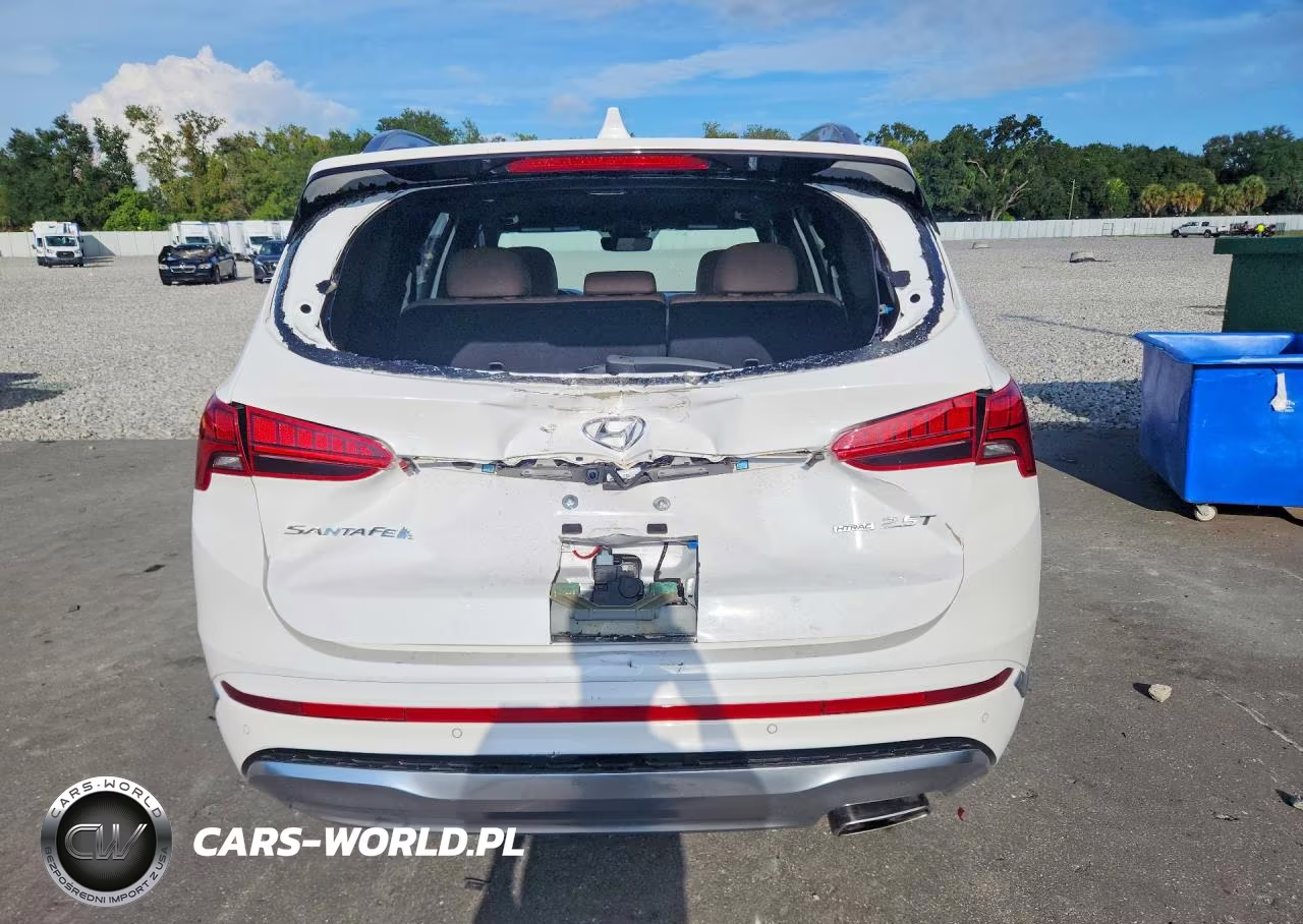 2023 Hyundai Santa Fe Calligraphy VIN:5NMS5DAL3PH558302 - 6