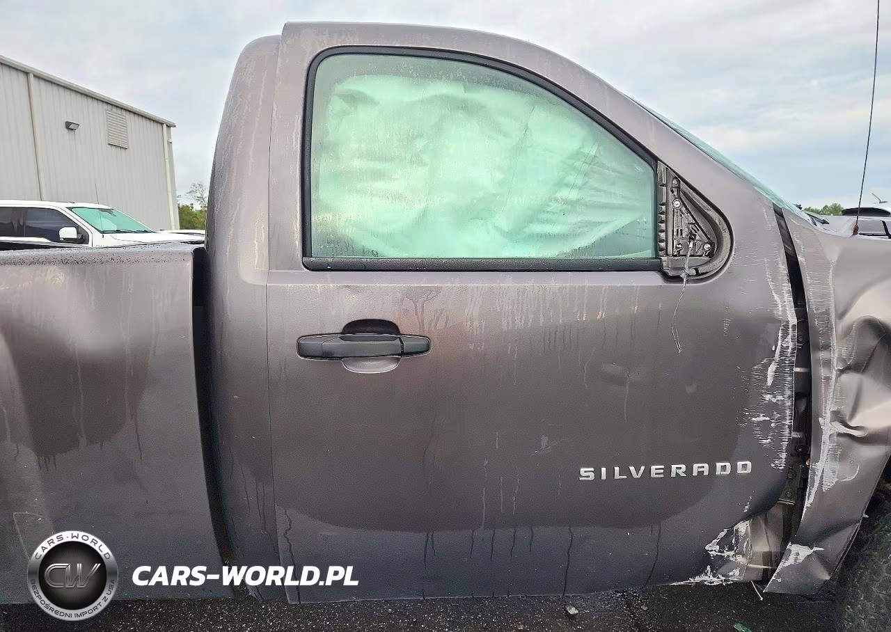 2010 Chevrolet Silverado K1500 VIN:1GCPKPE09AZ188833 - 10