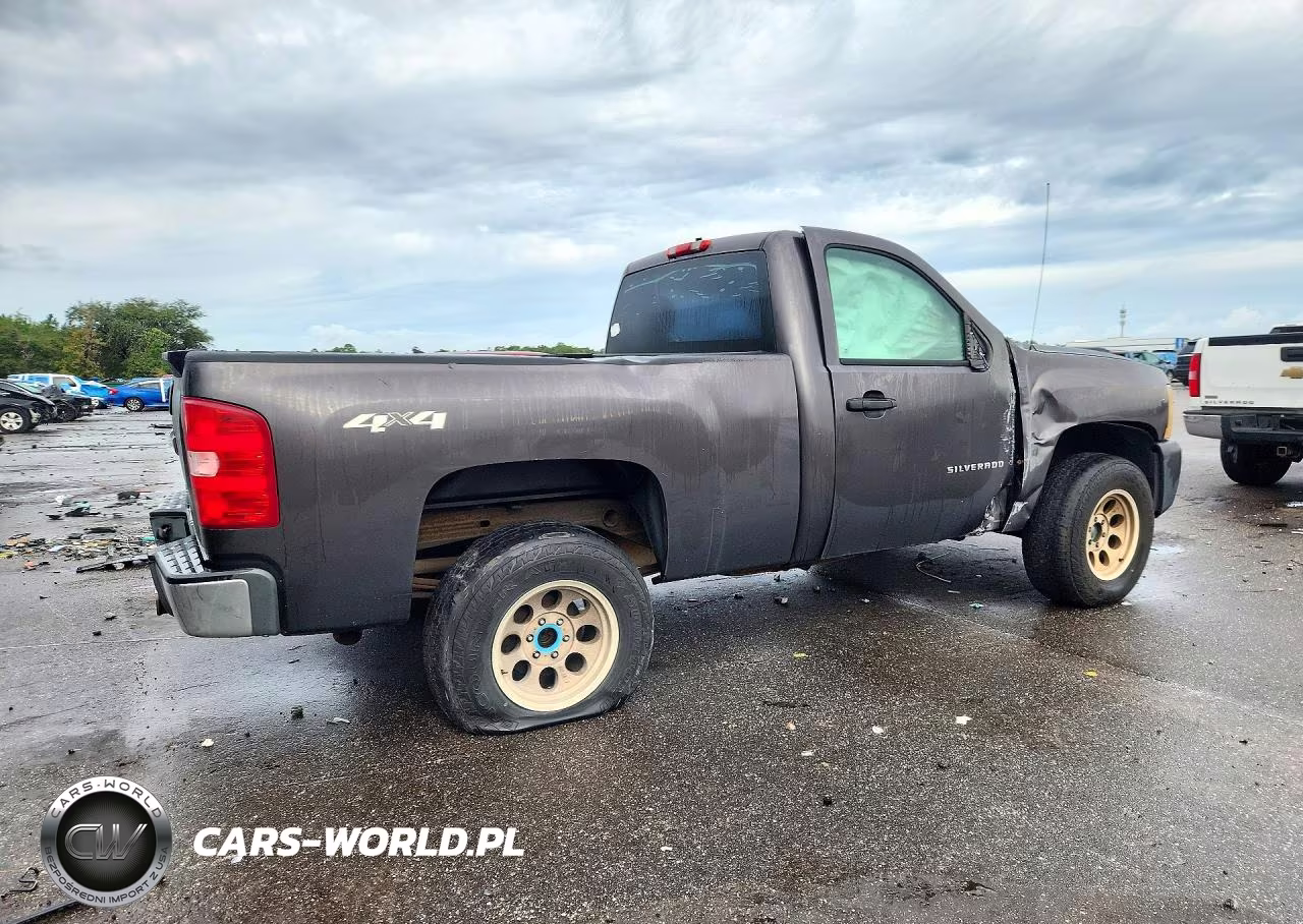 2010 Chevrolet Silverado K1500 VIN:1GCPKPE09AZ188833 - 3