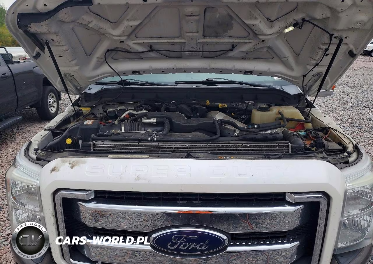 2015 Ford F350 Super Duty VIN:1FT8W3BTXFED67350 - 11