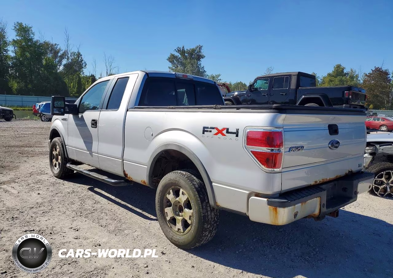 2010 Ford F150 Super Cab VIN:1FTFX1EV2AFB66924 - 2