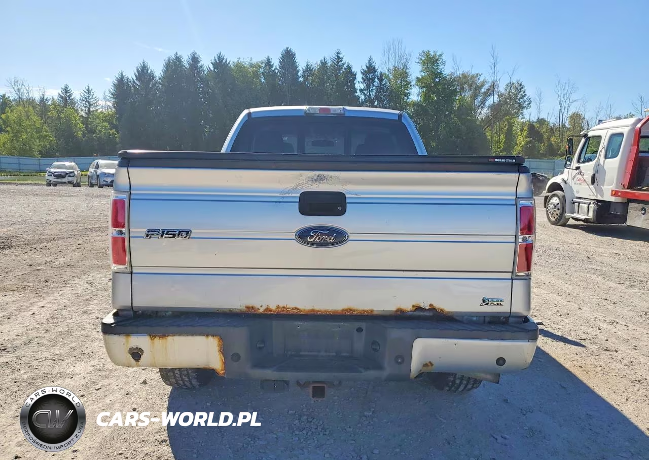 2010 Ford F150 Super Cab VIN:1FTFX1EV2AFB66924 - 6