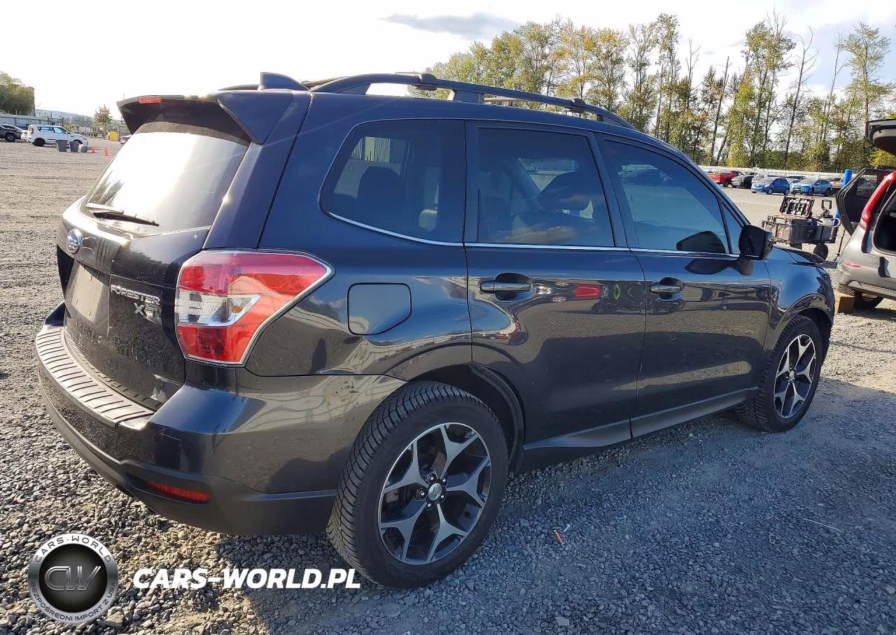 2016 Subaru Forester 2.0Xt Premium VIN:JF2SJGDC6GH462174 - 3