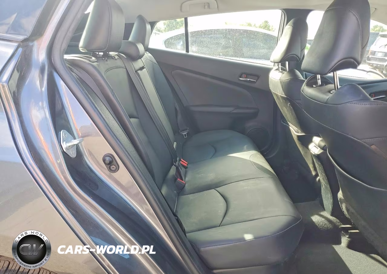 2019 Toyota Prius Xle VIN:JTDKARFU5K3099842 - 10