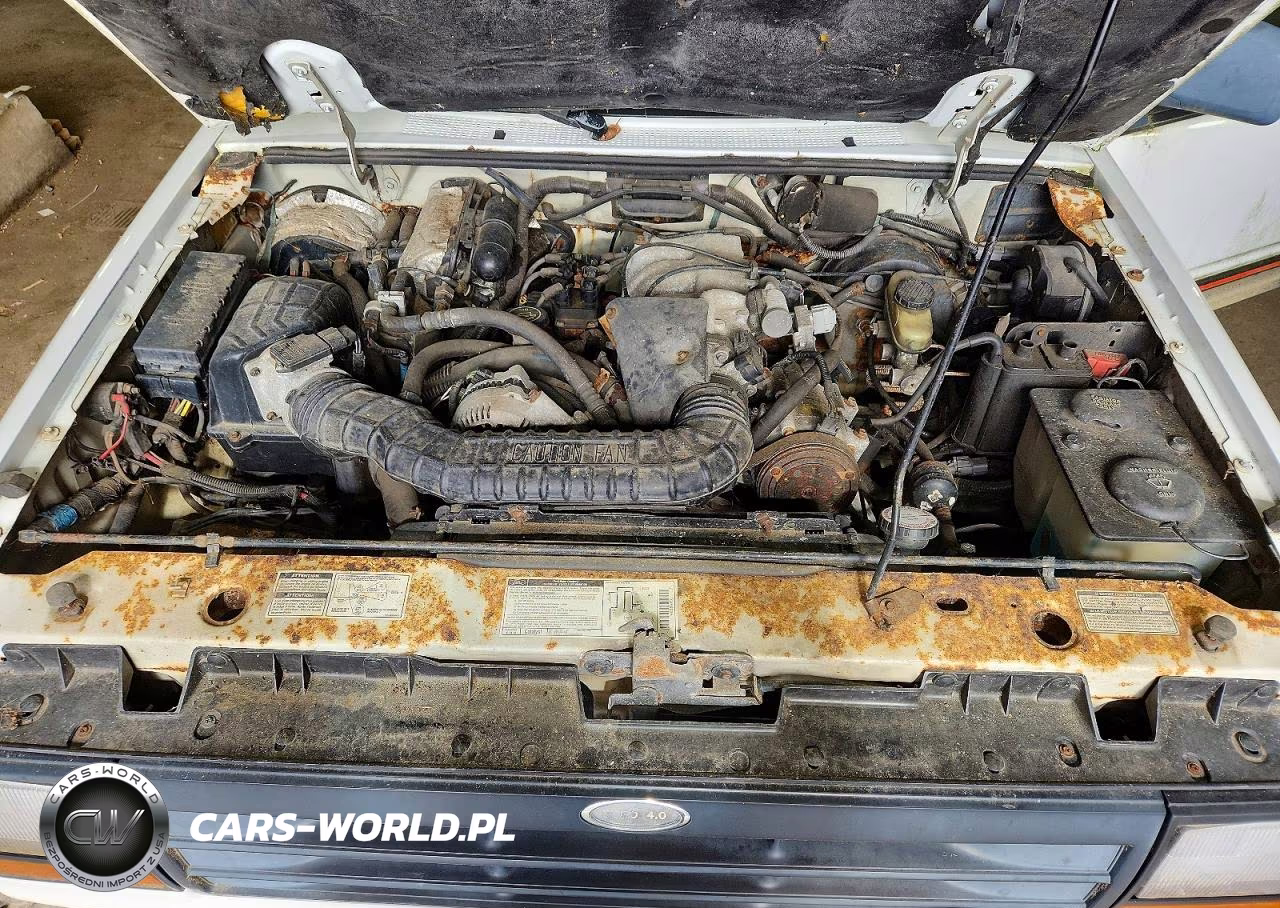 1994 Ford Explorer VIN:1FMCU24X9RUD14879 - 12