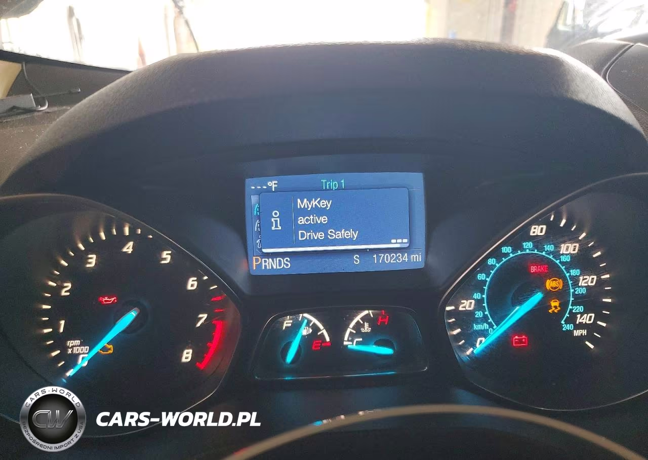2014 Ford Escape S VIN:1FMCU0F77EUB58014 - 9