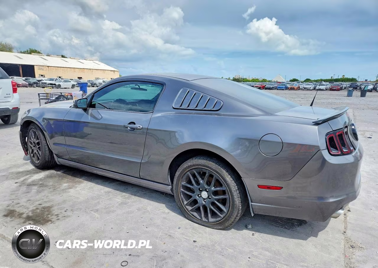 2014 Ford Mustang VIN:1ZVBP8AM3E5320196 - 2