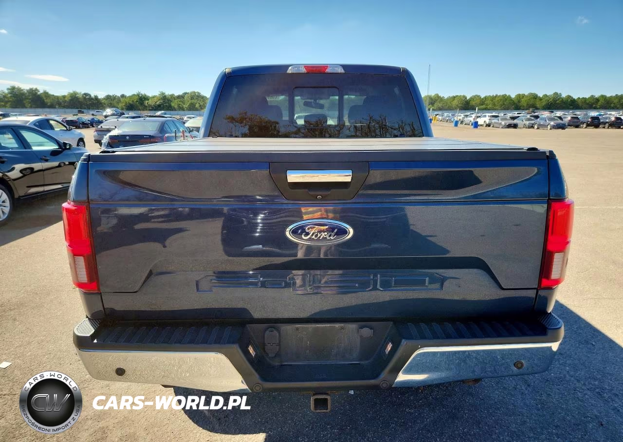 2020 Ford F150 Supercrew VIN:1FTEW1E58LFB17289 - 6