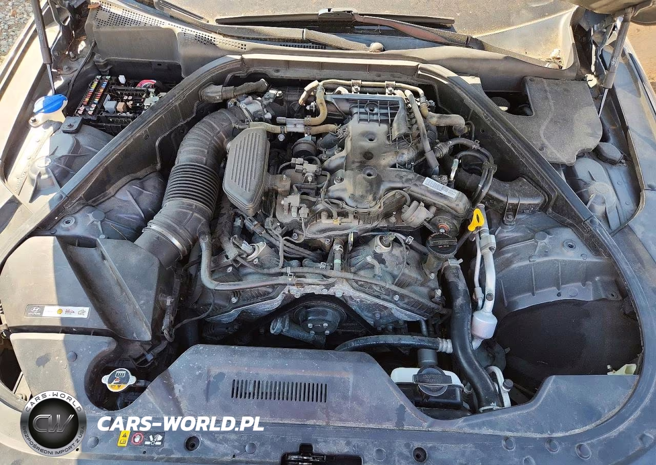 2016 Hyundai Genesis 3.8L VIN:KMHGN4JEXGU134384 - 11