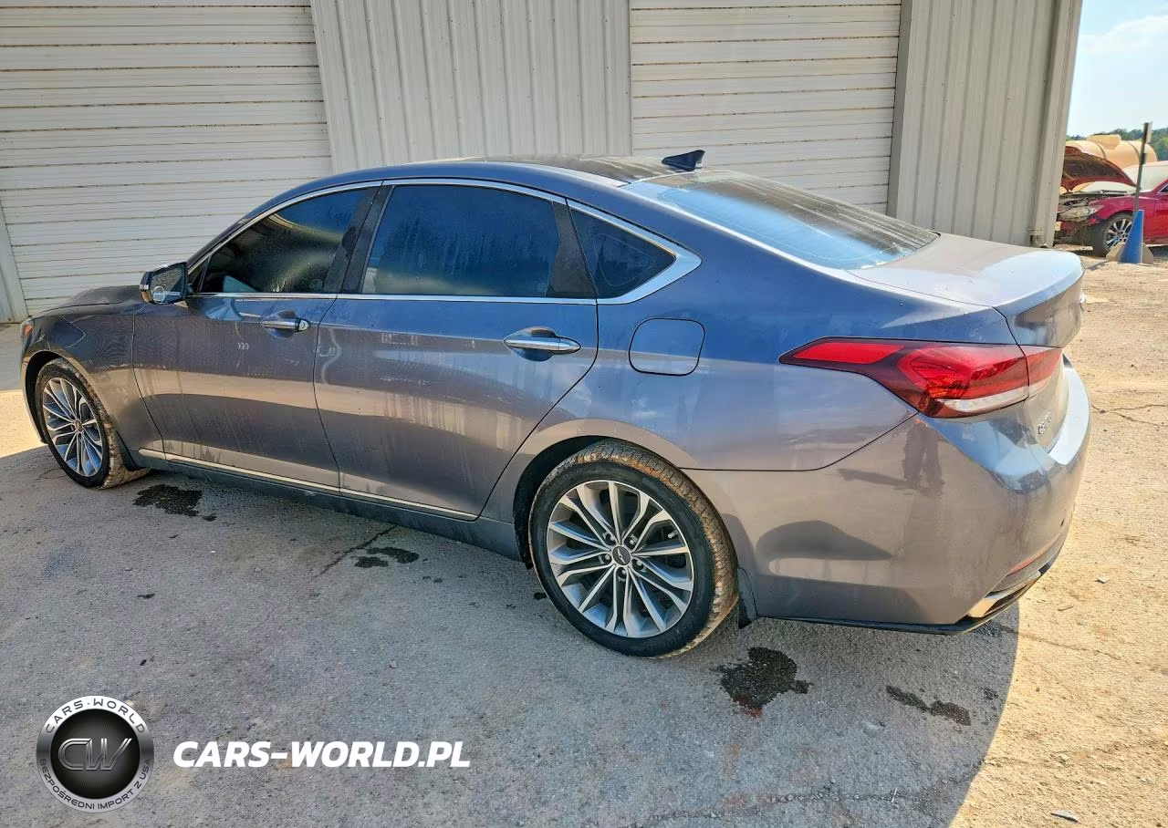 2016 Hyundai Genesis 3.8L VIN:KMHGN4JEXGU134384 - 2