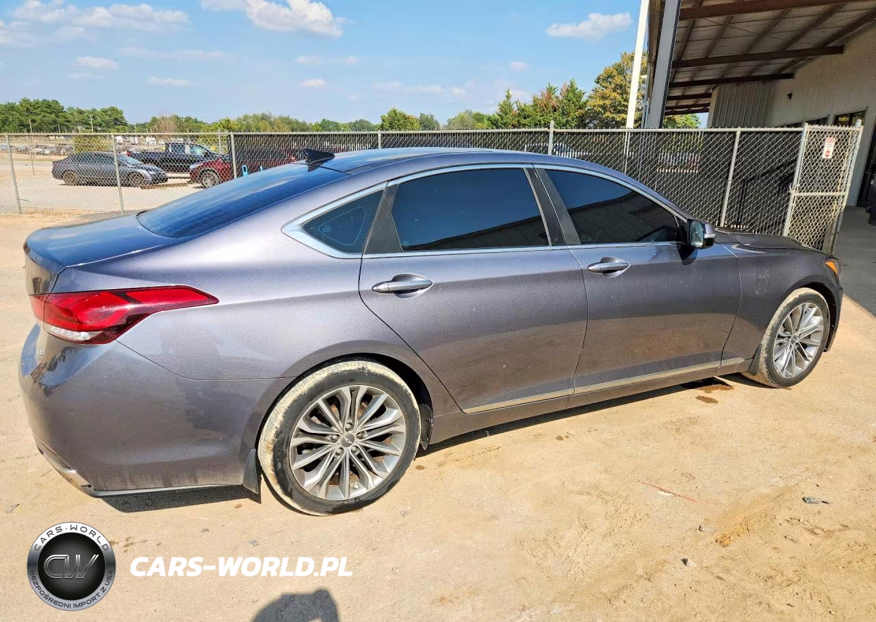 2016 Hyundai Genesis 3.8L VIN:KMHGN4JEXGU134384 - 3