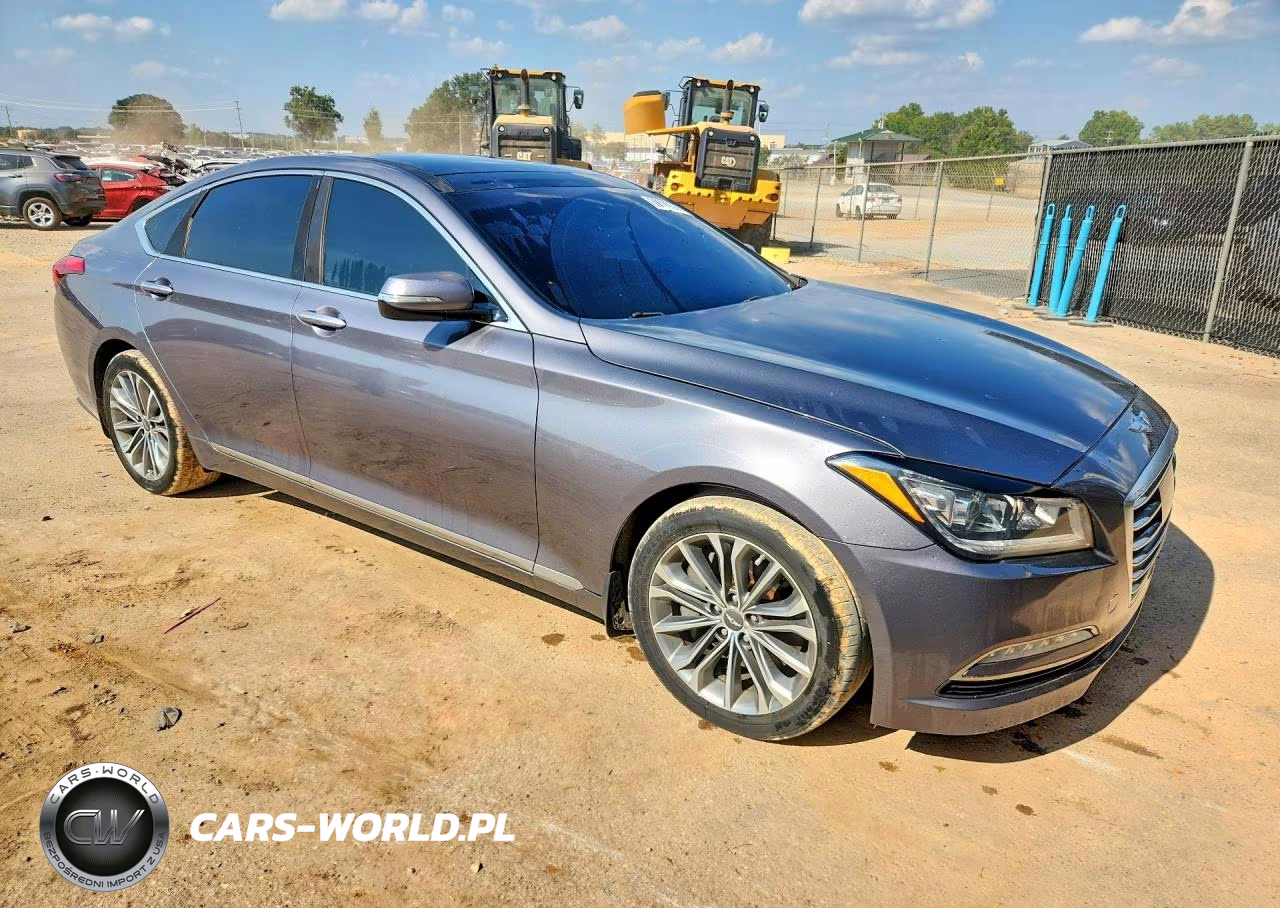 2016 Hyundai Genesis 3.8L VIN:KMHGN4JEXGU134384 - 4