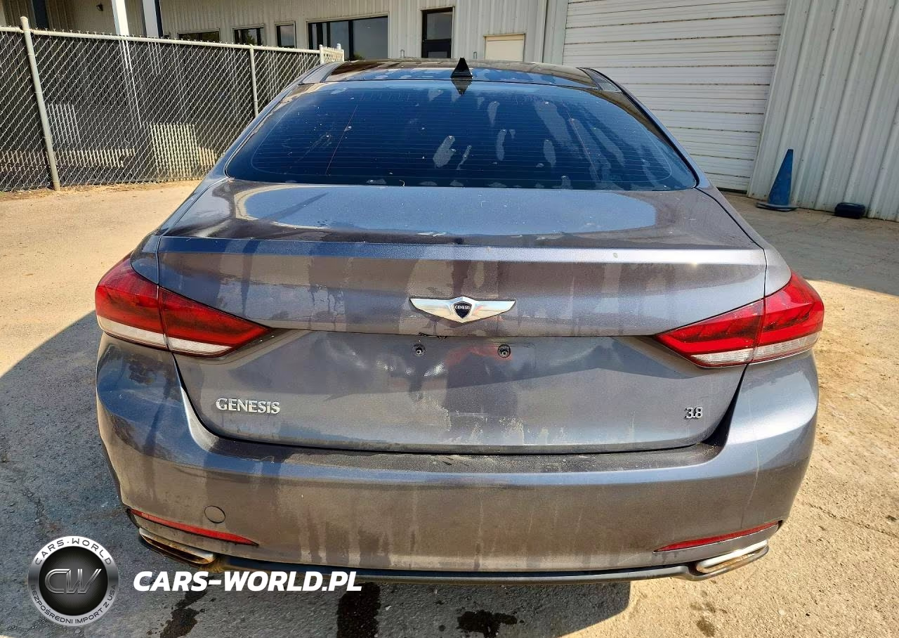 2016 Hyundai Genesis 3.8L VIN:KMHGN4JEXGU134384 - 6