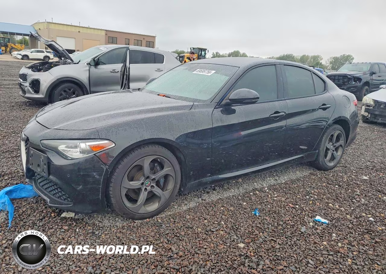 2018 Alfa Romeo Giulia Q4 VIN:ZARFAEDN3J7564511 - 1