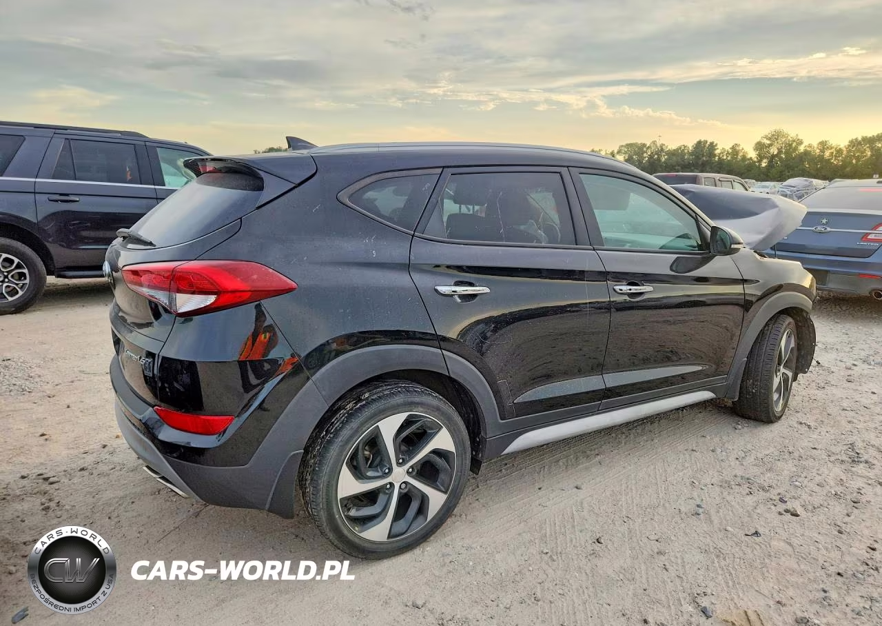 2017 Hyundai Tucson Limited VIN:KM8J33A28HU479393 - 3