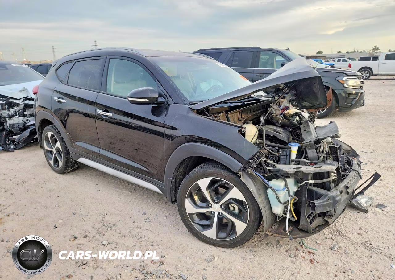 2017 Hyundai Tucson Limited VIN:KM8J33A28HU479393 - 4