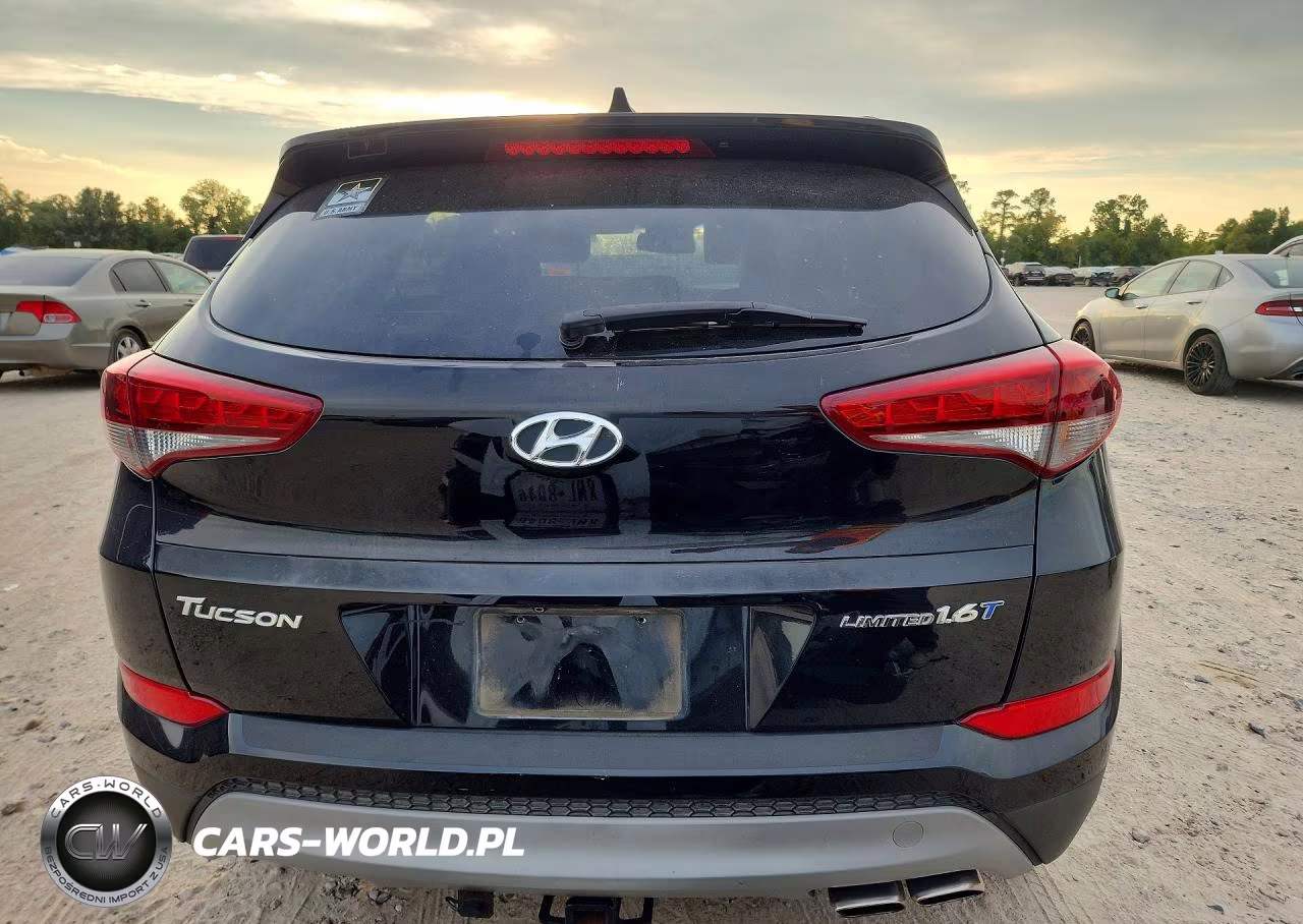 2017 Hyundai Tucson Limited VIN:KM8J33A28HU479393 - 6