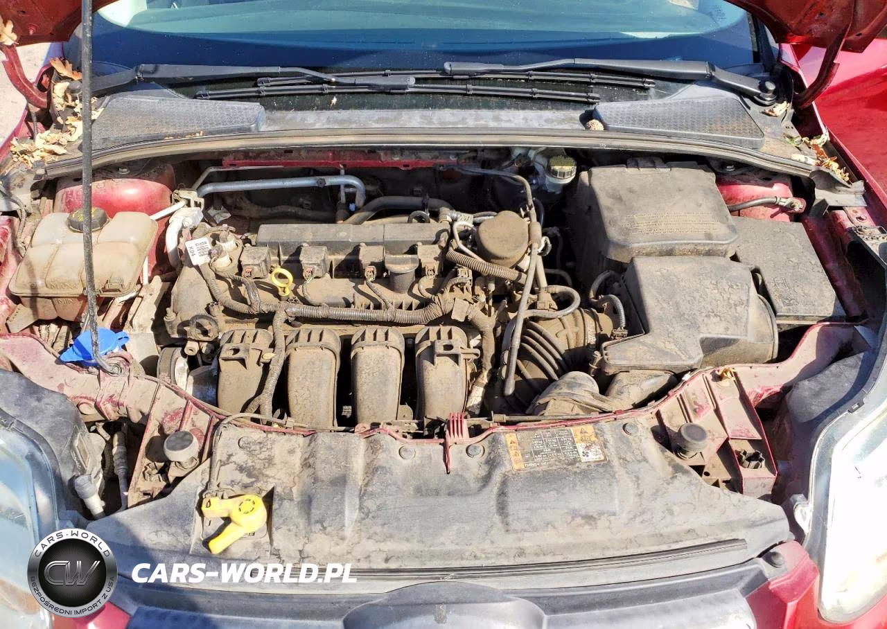 2014 Ford Focus Se VIN:1FADP3K25EL271516 - 11