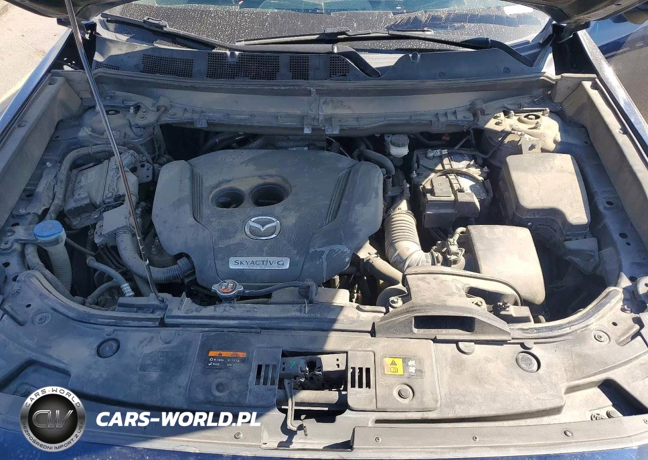 2020 Mazda Cx-9 Sport VIN:JM3TCBBY8L0417252 - 12