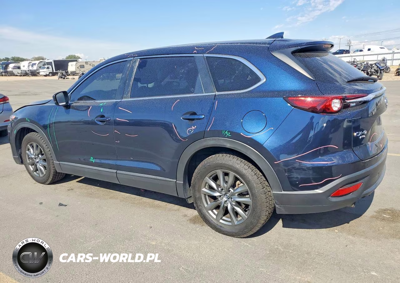 2020 Mazda Cx-9 Sport VIN:JM3TCBBY8L0417252 - 2