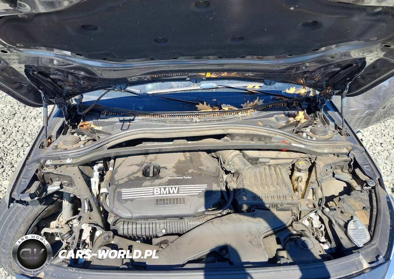 2021 BMW 228I VIN:WBA53AK01M7H33896 - 11