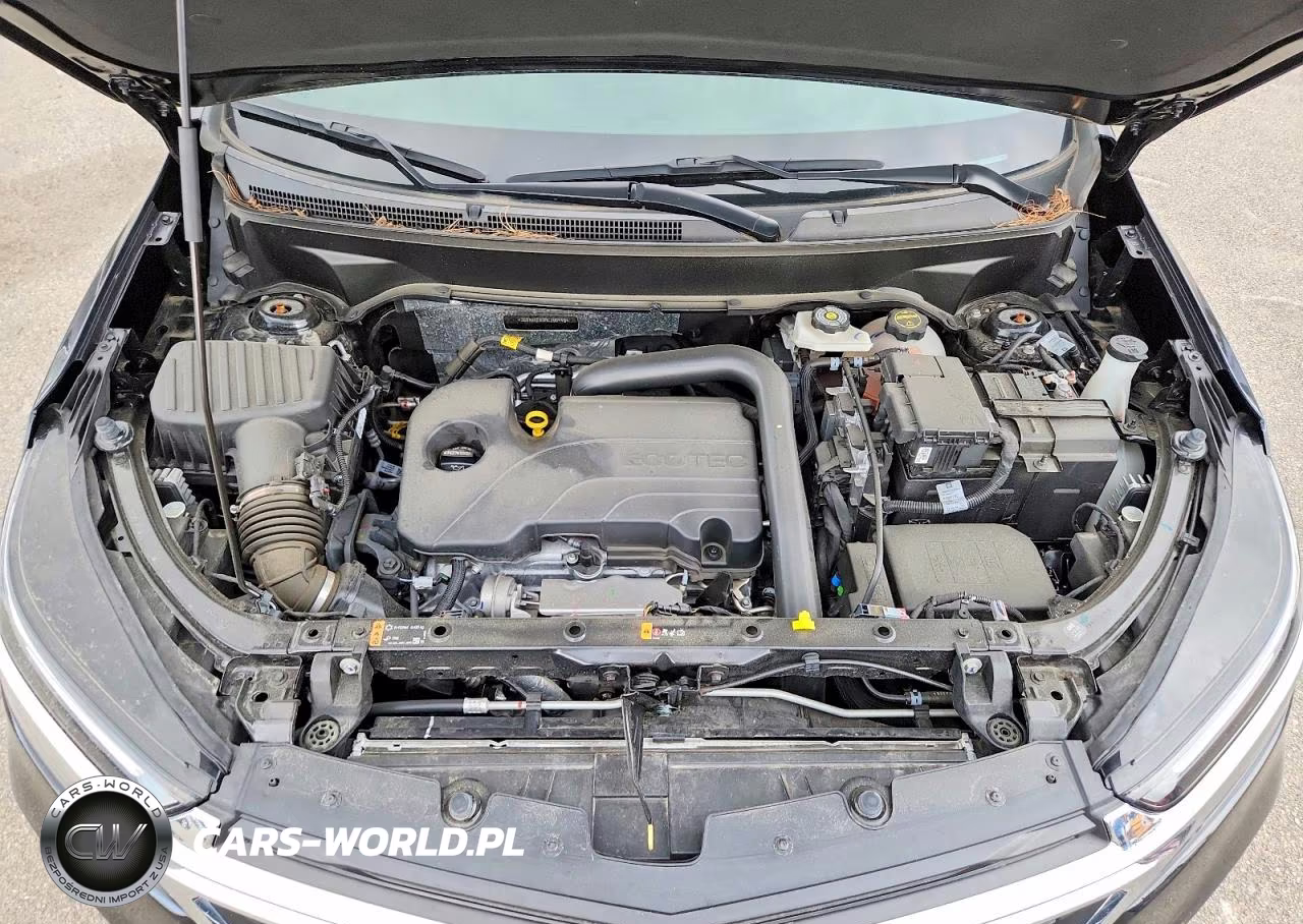 2024 Chevrolet Equinox Lt VIN:3GNAXKEG3RL296446 - 12
