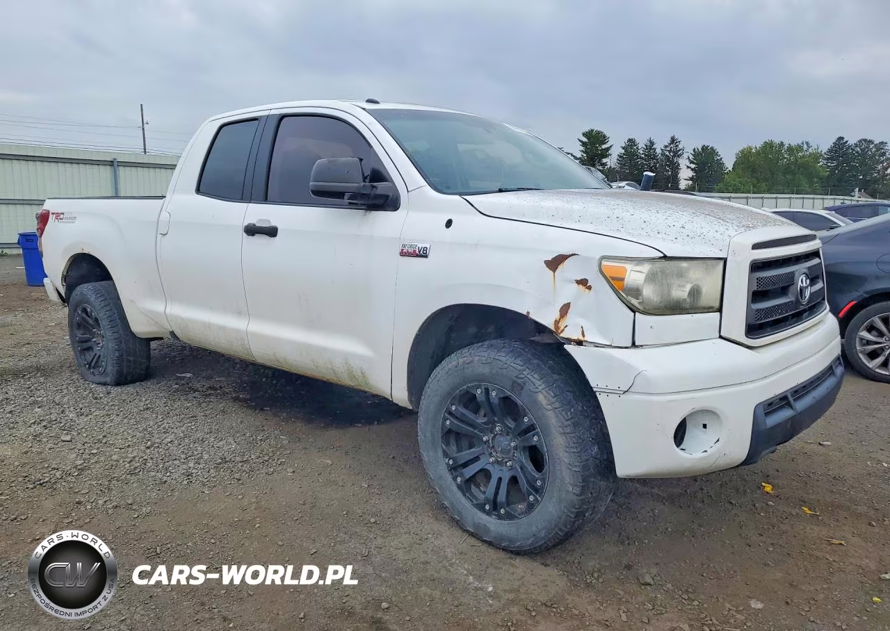 2010 Toyota Tundra Double Cab Sr5 VIN:5TFUY5F1XAX124227 - 4