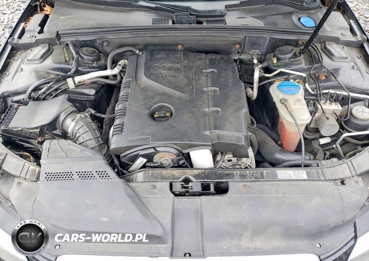 2010 Audi A4 Premium VIN:WAUBFAFL6AN011181 - 11