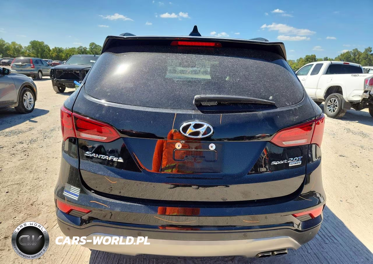 2017 Hyundai Santa Fe Sport 2.0T Ultimate VIN:5XYZW4LAXHG502022 - 6