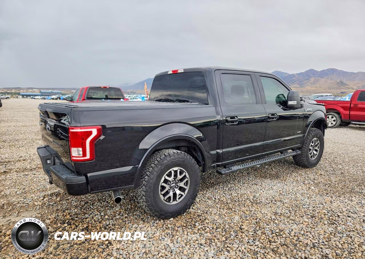 2016 Ford F150 Supercrew VIN:1FTEW1EP4GFA24843 - 3