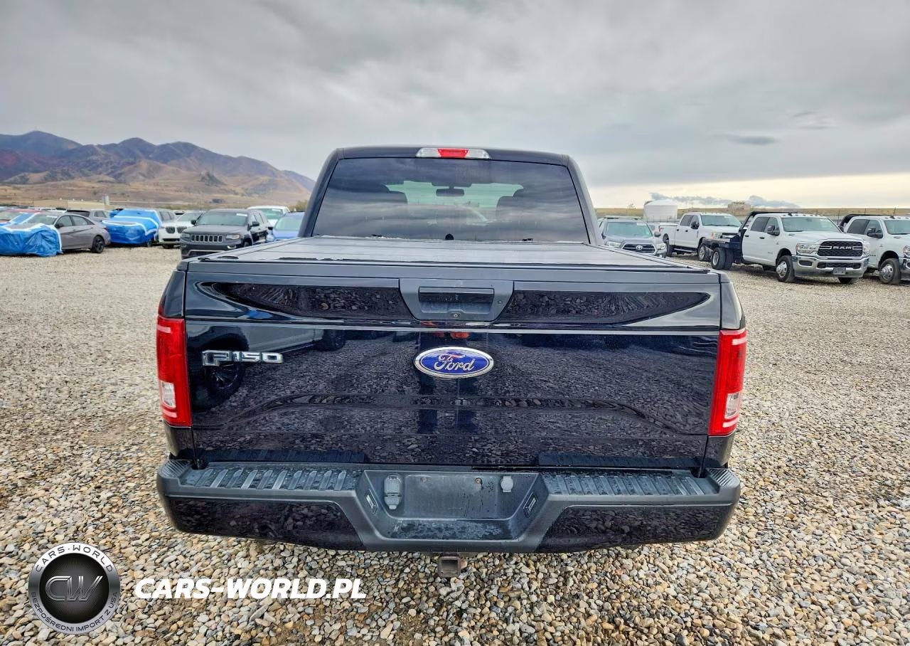 2016 Ford F150 Supercrew VIN:1FTEW1EP4GFA24843 - 6