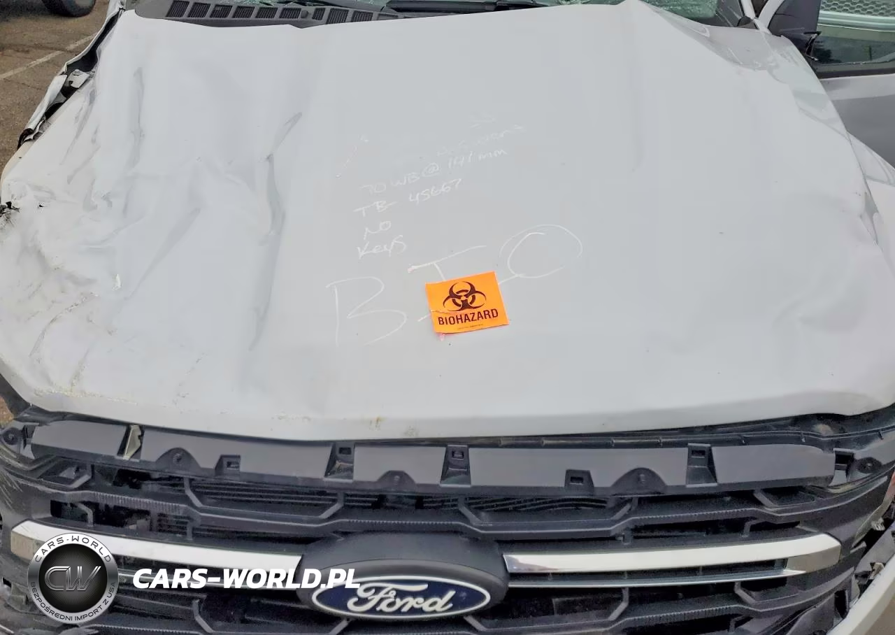 2025 Ford F150 Xlt VIN:1FTFW3L84SKE86797 - 11