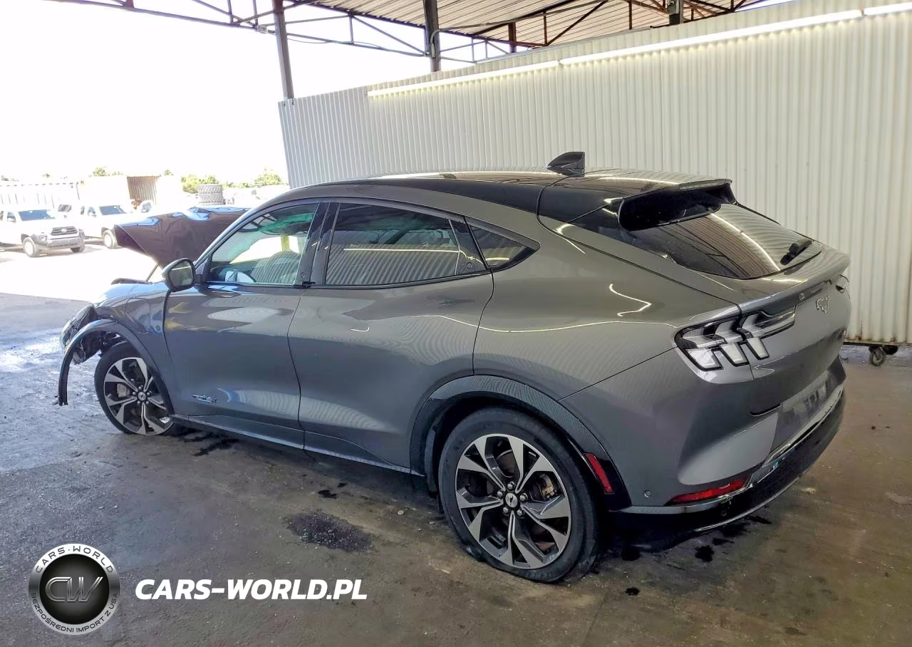 2023 Ford Mustang Mach-E Premium VIN:3FMTK3SU4PMA83704 - 2