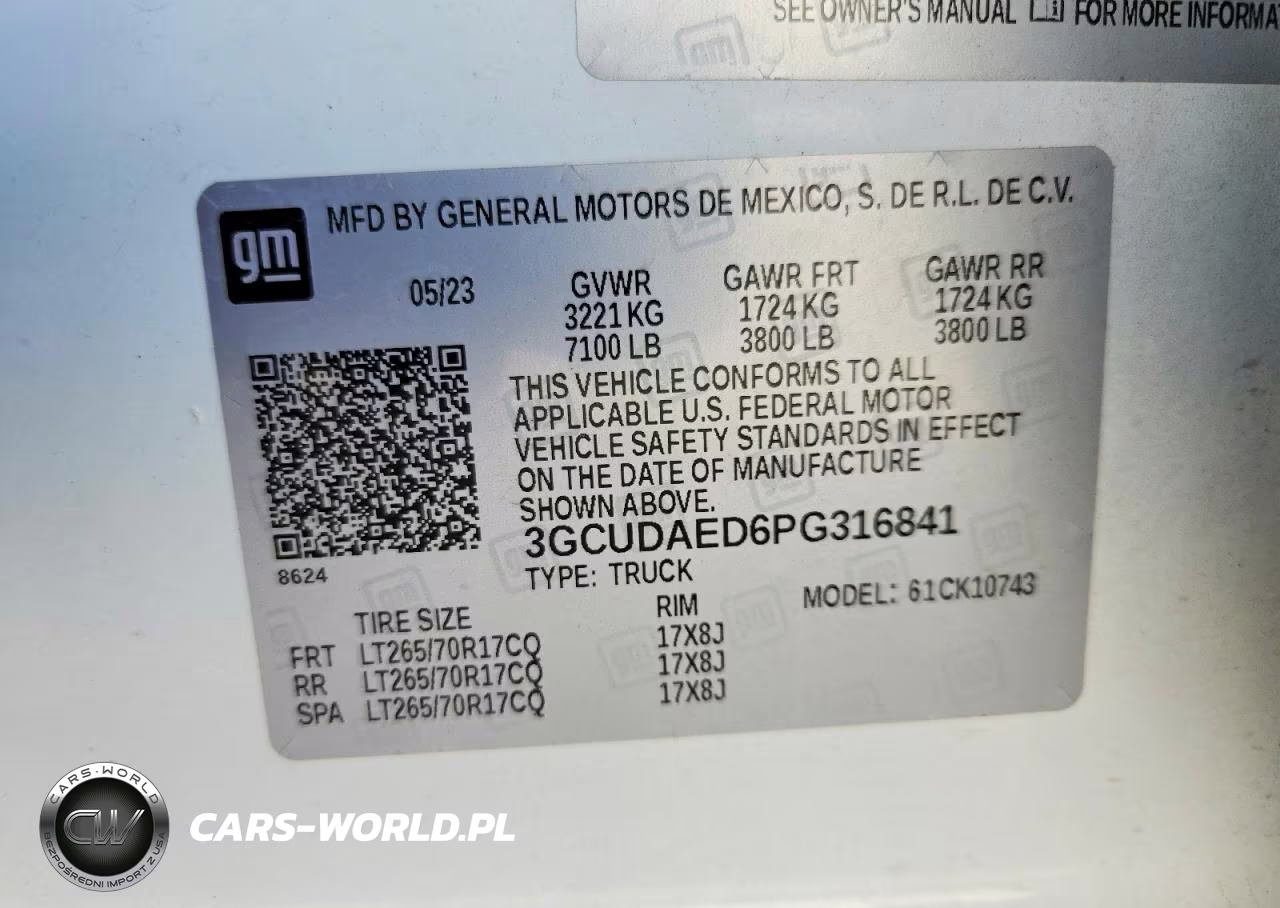 2023 Chevrolet Silverado K1500 VIN:3GCUDAED6PG316841 - 12