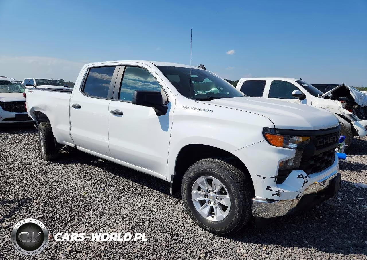 2023 Chevrolet Silverado K1500 VIN:3GCUDAED6PG316841 - 4